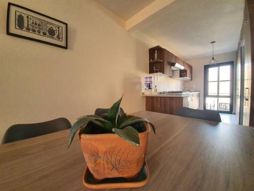 Departamento Casa Oaxaca SMA Pool Rooftgarden in อิกนาซิโอ รามิเรซ