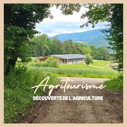 La Ferme du Solvat in Delemont