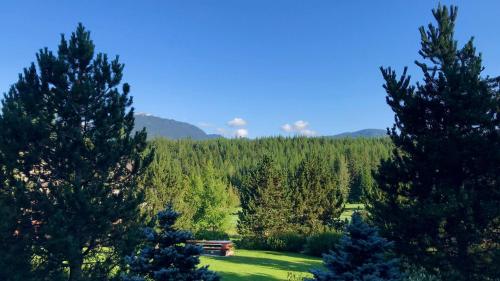Blackcomb Greens 31 | Cozy & Bright Unit, Shuttle to Gondola, Shared Hot tub in Whistler, Canada