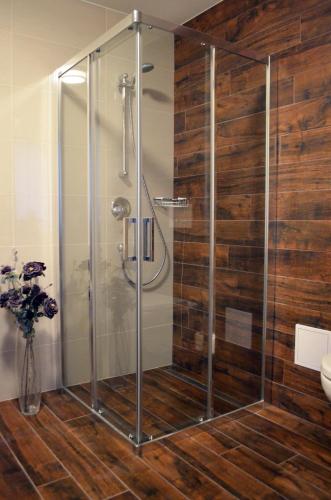 Hotel U Kvapilů - image 11