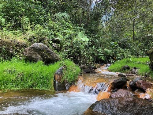 Rest Cabin 2 Bedroom 1 Bath