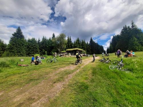 Sport és szabadidő, SKI Apartmán Snowcat (SKI Apartman Snowcat) in Abertamy