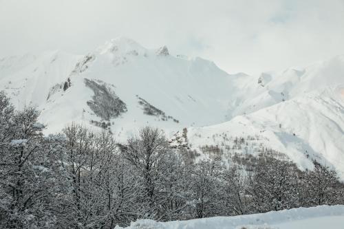 La Joubarbe - image 8