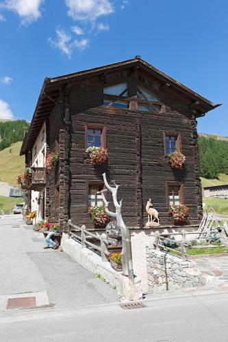 Bait Vegl - image 5