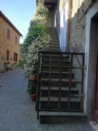 Charming House in Barbarano Romano with Terrace and Fireplace