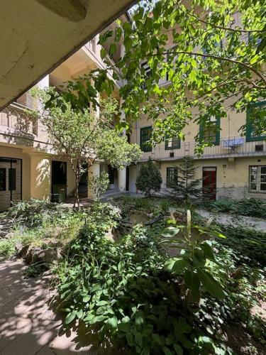 Központi Kuckó, Budapeszt (zdjęcie 10)