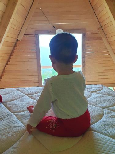 Mountain View Mountain View