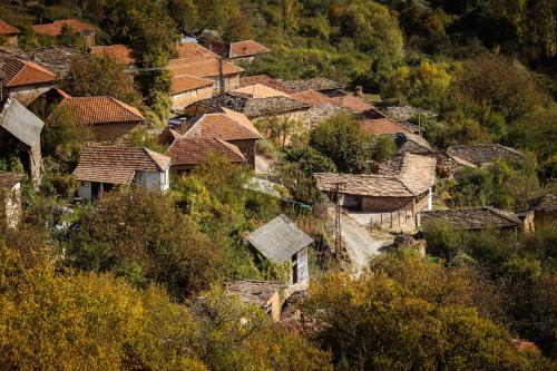 สภาพแวดล้อมโดยรอบ, Porodična kuća Vitina Iža (Porodicna kuca Vitina Iza) in ปิรอต