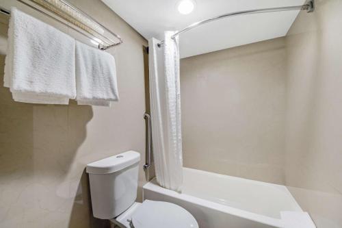 Best Western Inn of Del Rio - image 11