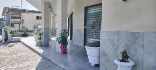 Bed & Breakfast Cannavacciuolo 3