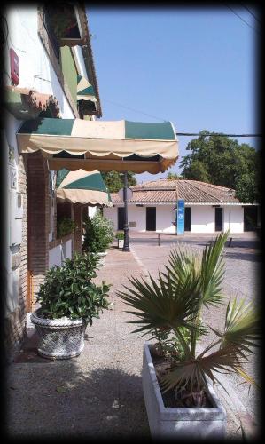 Hotel Bonilla in La Barca de la Florida