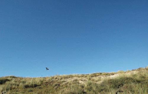 Widok z zewnątrz, Lovely Home In Egmond Aan Zee With Wifi in Egmond aan Zee