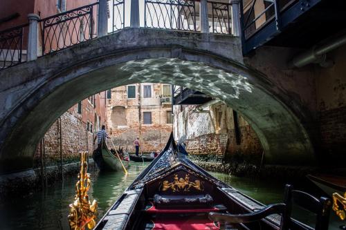 Luxhaven Venice 2