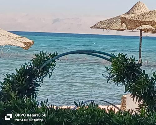 إطلالة مباشرة على البحر شاليه فندقي مكيف بحديقة خاصة راس سدر, Ras Sedr (foto 8)