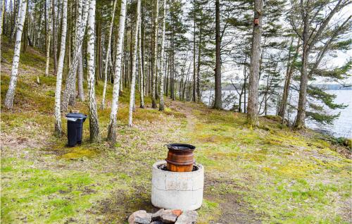 Exterior view, Awesome Home In Hyltebruk With Sauna in Hyltebruk