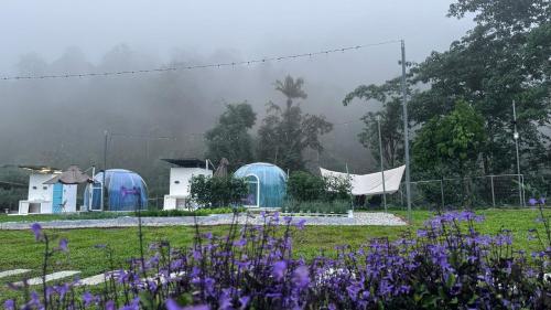 The Starry Dome Couple Room The Starry Dome Couple Room