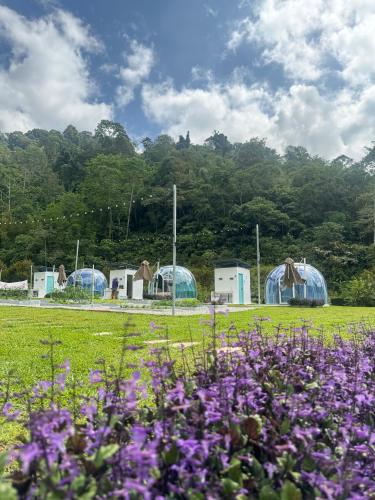The Starry Dome Couple Room The Starry Dome Couple Room