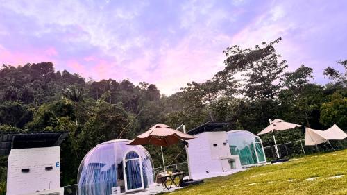 The Starry Dome Couple Room The Starry Dome Couple Room