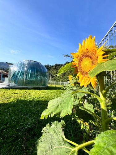 The Starry Dome Couple Room The Starry Dome Couple Room