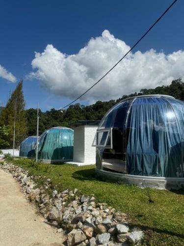 The Starry Dome Couple Room The Starry Dome Couple Room