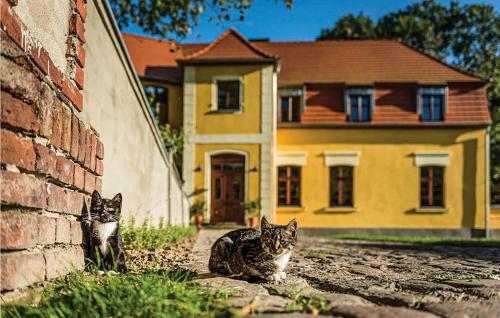 Five-Bedroom Holiday Home in Wolin - image 3