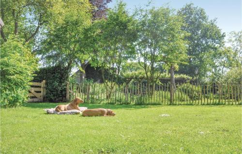 Buitenkant, 3 Bedroom Pet Friendly Home In Leende in Leenderstrijp