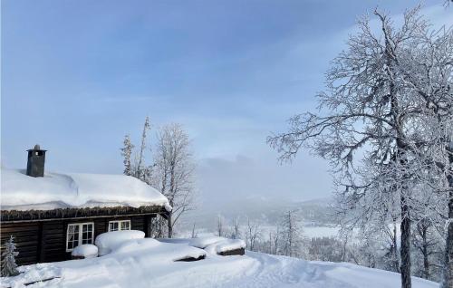 Viesnīcas āriene, Holiday Home Fla Øvre Reinsjøfjell in Kleiv