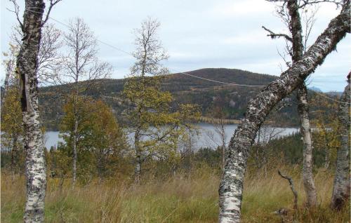 Viesnīcas āriene, Holiday Home Fla Øvre Reinsjøfjell in Kleiv