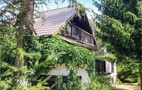 . Holiday Home Dziemiany Radun