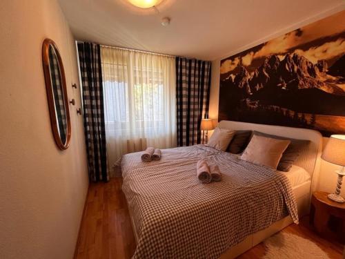 Klatschmohn Klatschmohn