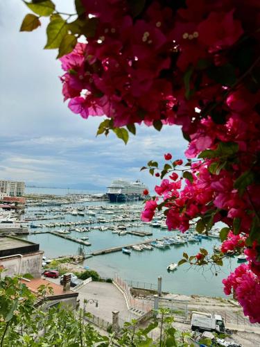 Alizée Salerno near Amalfi Ferries & Old Town - Tap to explore photos