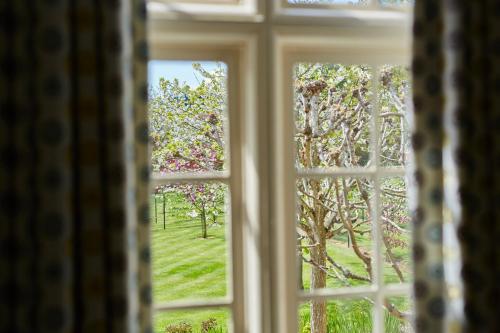 Tylney Hall Hotel - image 10