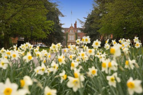 Tylney Hall Hotel - image 2