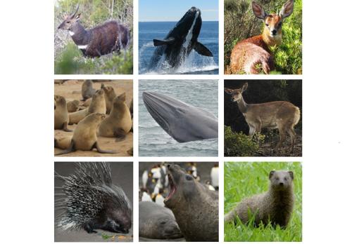 Erika27 Top B&B Choice Erika27 Top B&B Choice