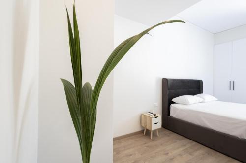 Apartment with Balcony image 5