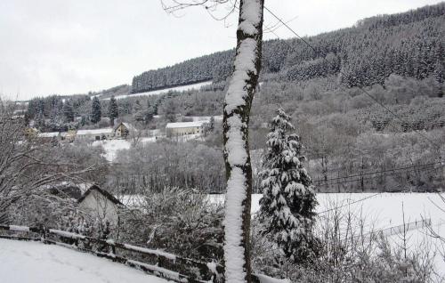 Holiday Home Burg-Reuland with Sauna IV - image 9