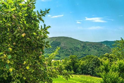 Gîte Gîte 2/4 personnes à La Grandville (Gite Gite 2/4 personnes a La Grandville) in Bedoues