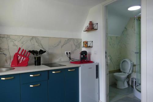 Fürdőszoba, Căsuțele Denis&Lucas (Casutele Denis&Lucas) in Ocna Sugatag