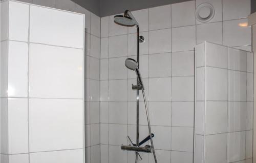de koestal - image 8