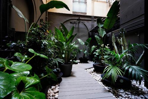 Chic & Basic Born Boutique Hotel - image 7