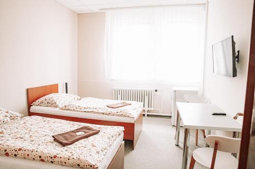 Penzion Centra Zdraví (Penzion Centra Zdravi) in Dolani