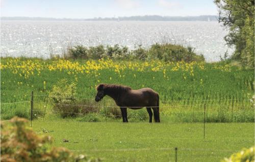 Facilities, Awesome Apartment In Sydals With Kitchen in Sydals