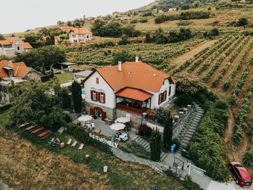 Badacsony Villa Ria - image 3