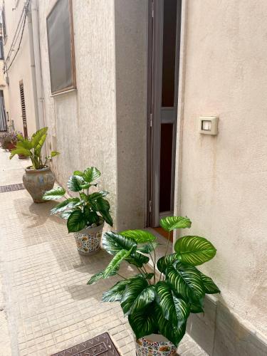 Il Cortile in San Vito Lo Capo