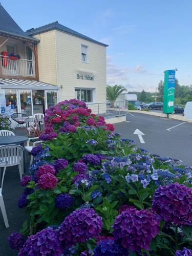 Brit Hotel Aux Hortensias - main image