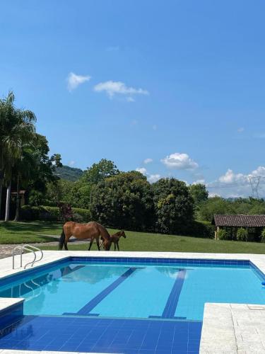 Hacienda La Tranquera in Tesorito