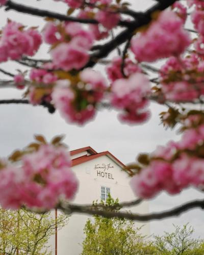 Normandy Farm Hotel & Conference Center in Blue Bell, USA