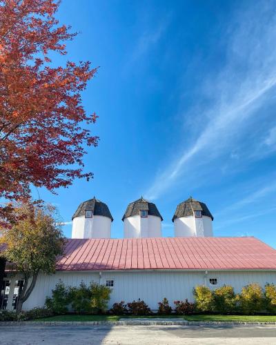Normandy Farm Hotel & Conference Center - image 25