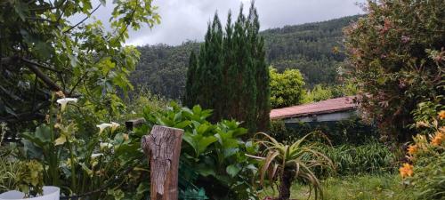 Casa Rural & Parrillada Miguel in As Mirans