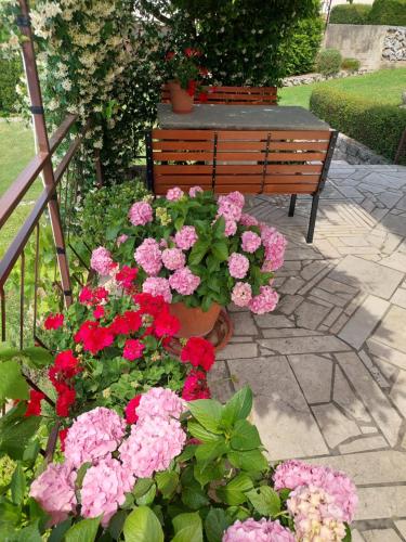 Apartment Fabris